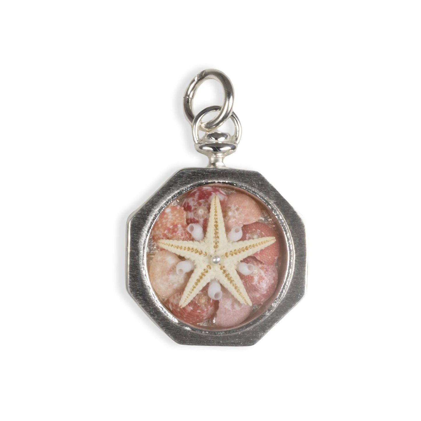 Pink Starfish Sailor's Valentine