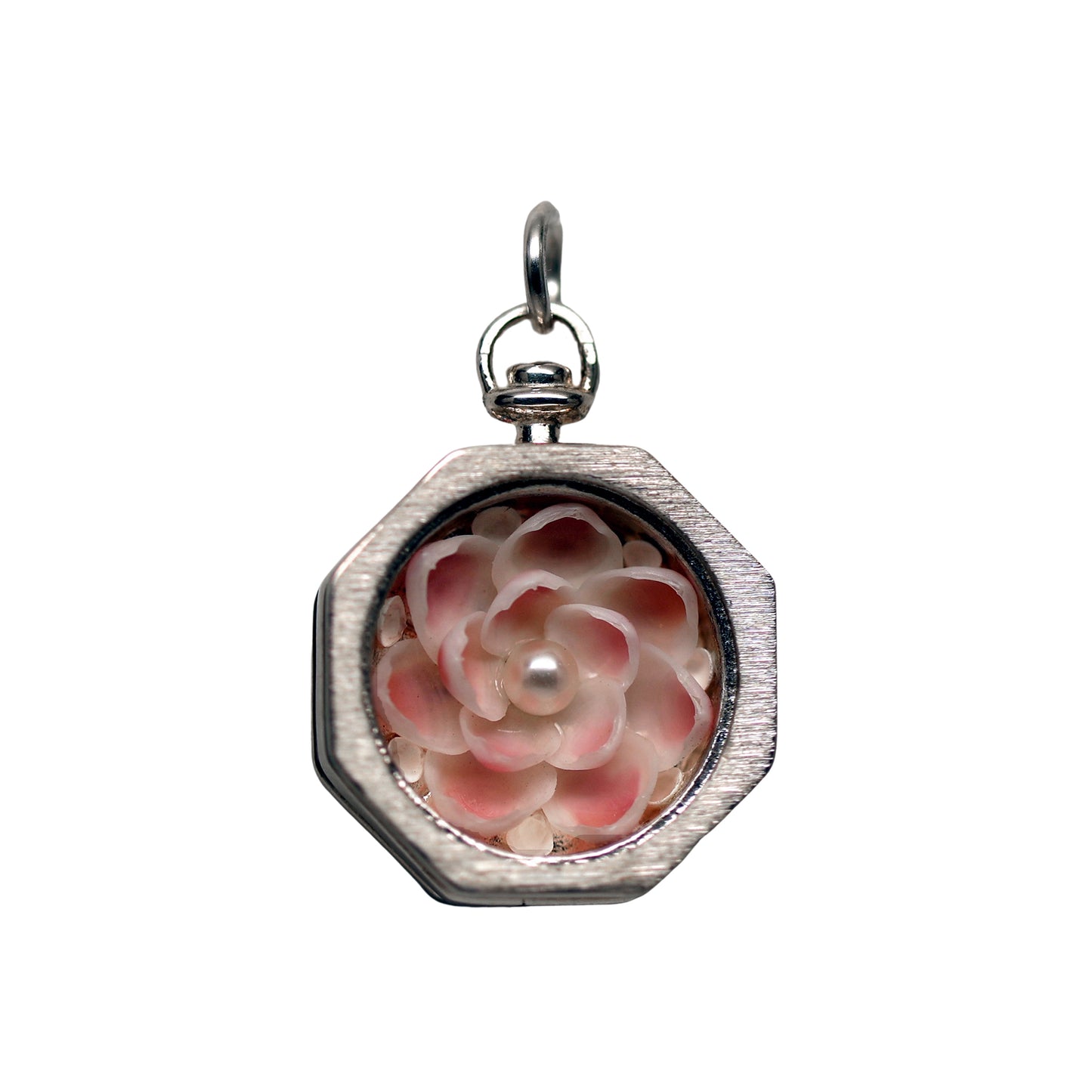 Apple Blossom and Cup Shell Sailor's Valentine