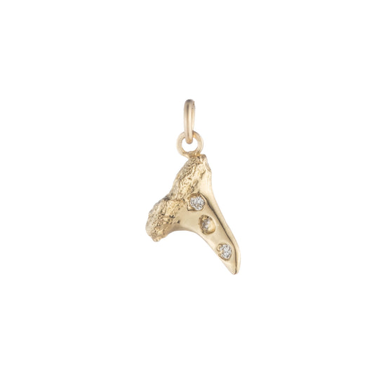 Shark Tooth Charm in Gold