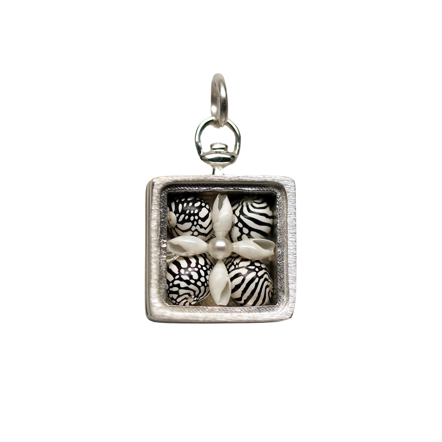 Zebra Shell Collector's Box in Sterling Silver