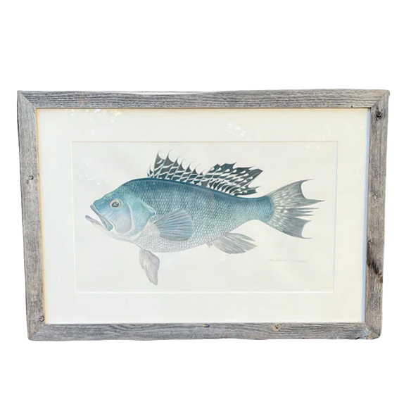 Featured Artist: Chris Bonelli