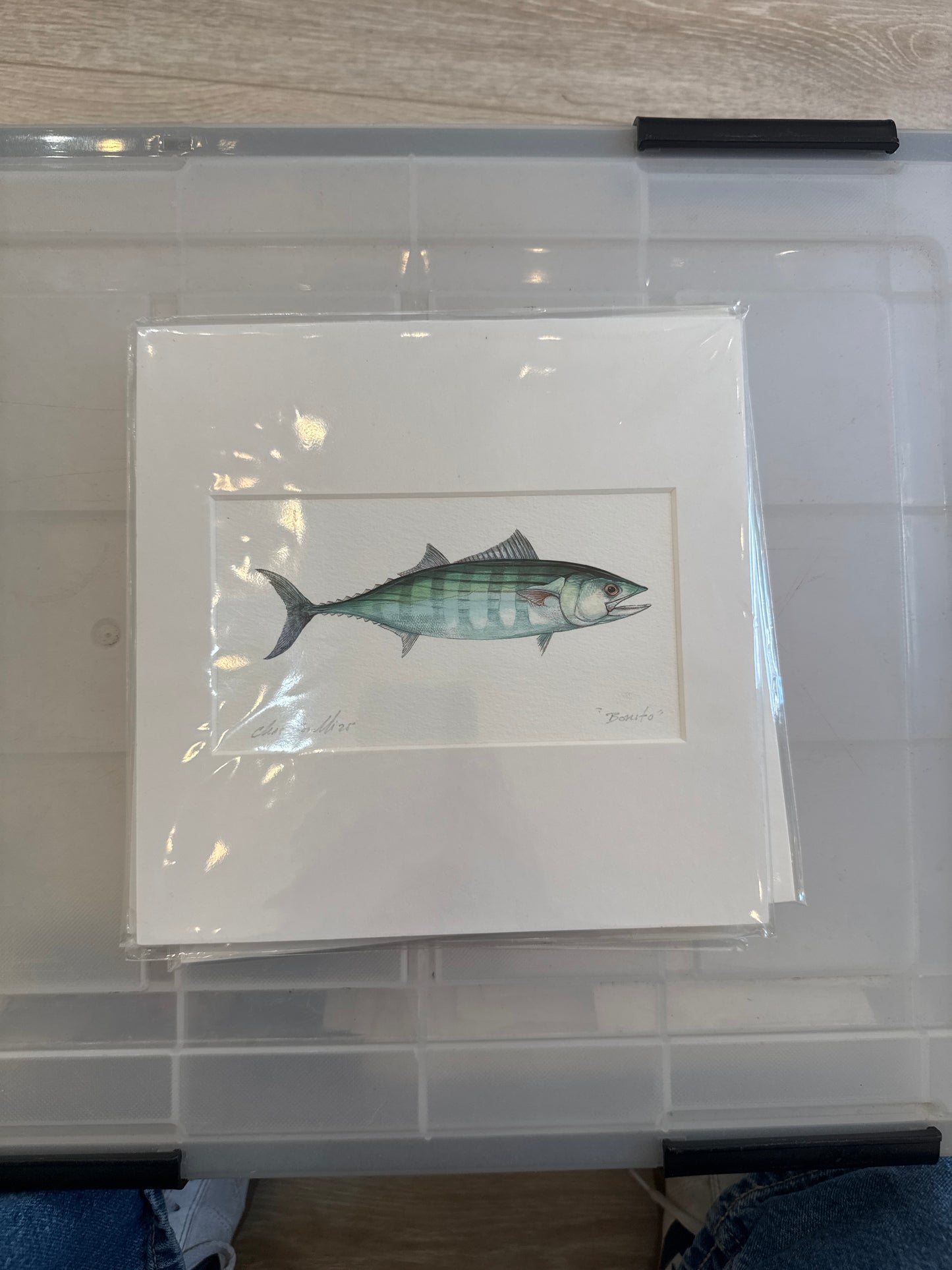 Shellfish Square Prints