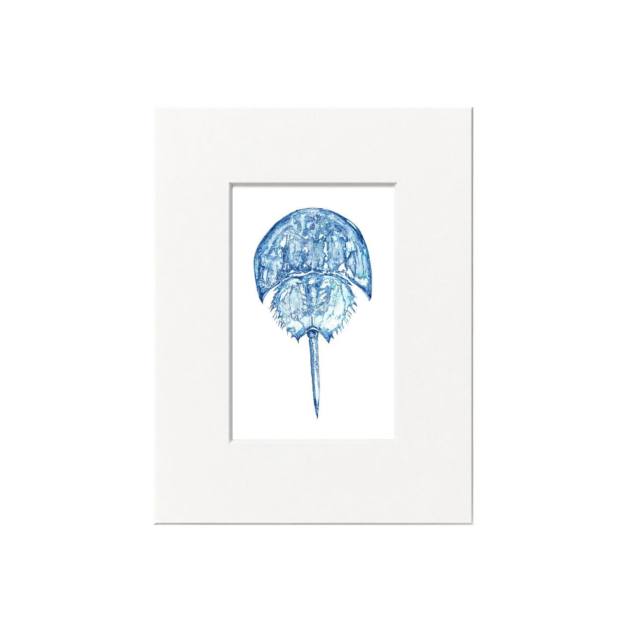 Horseshoe Crab Giclee Print