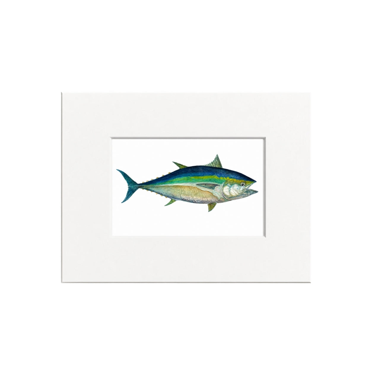 Tuna Giclee Print
