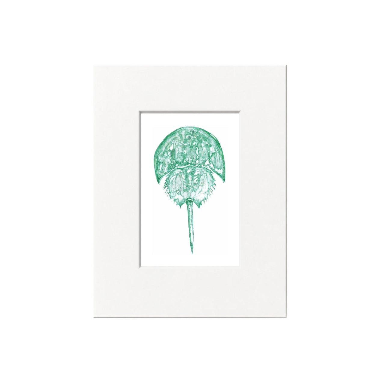 Horseshoe Crab Giclee Print