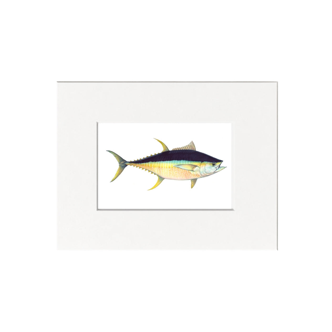 Tuna Giclee Print