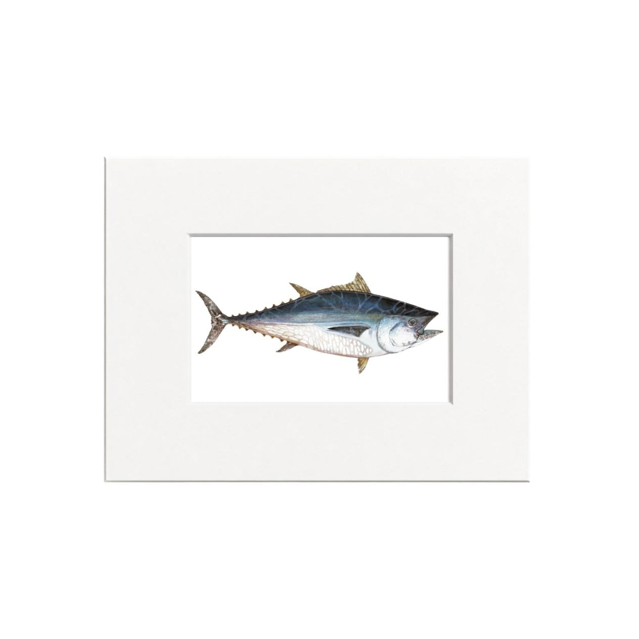 Tuna Giclee Print