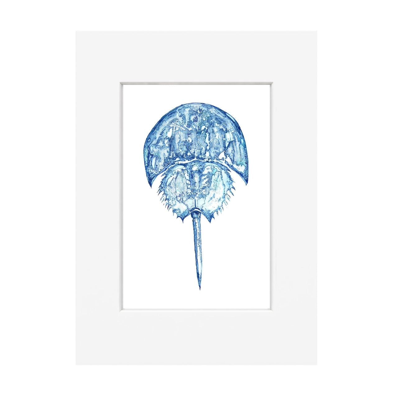 Horseshoe Crab Giclee Print