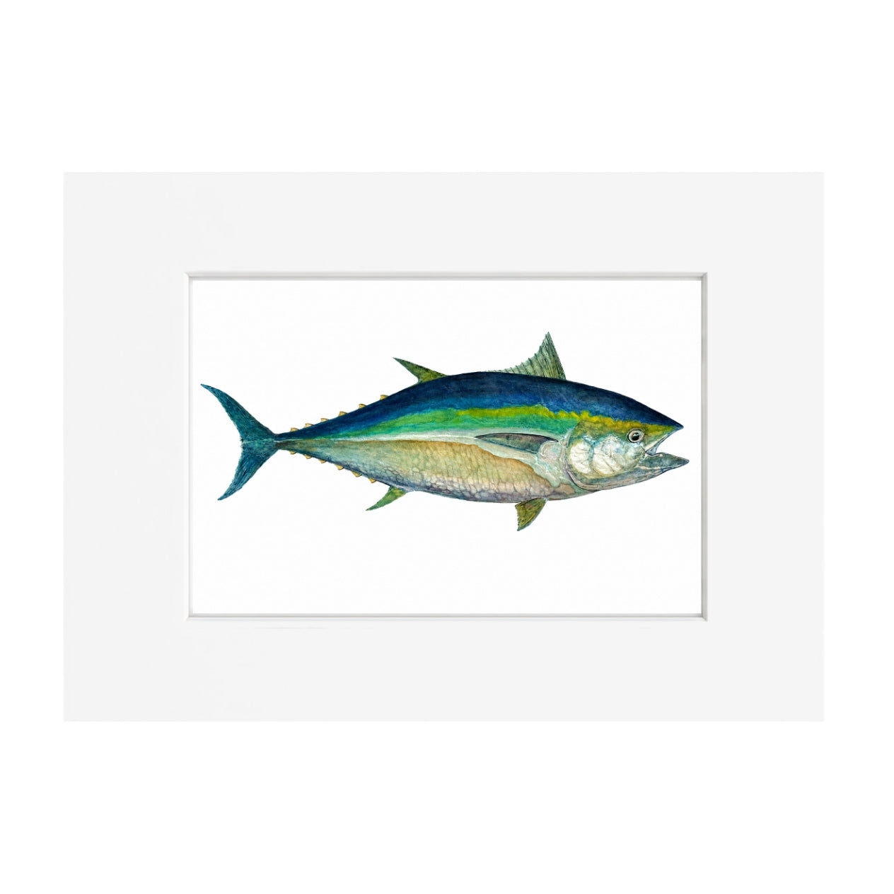Tuna Giclee Print