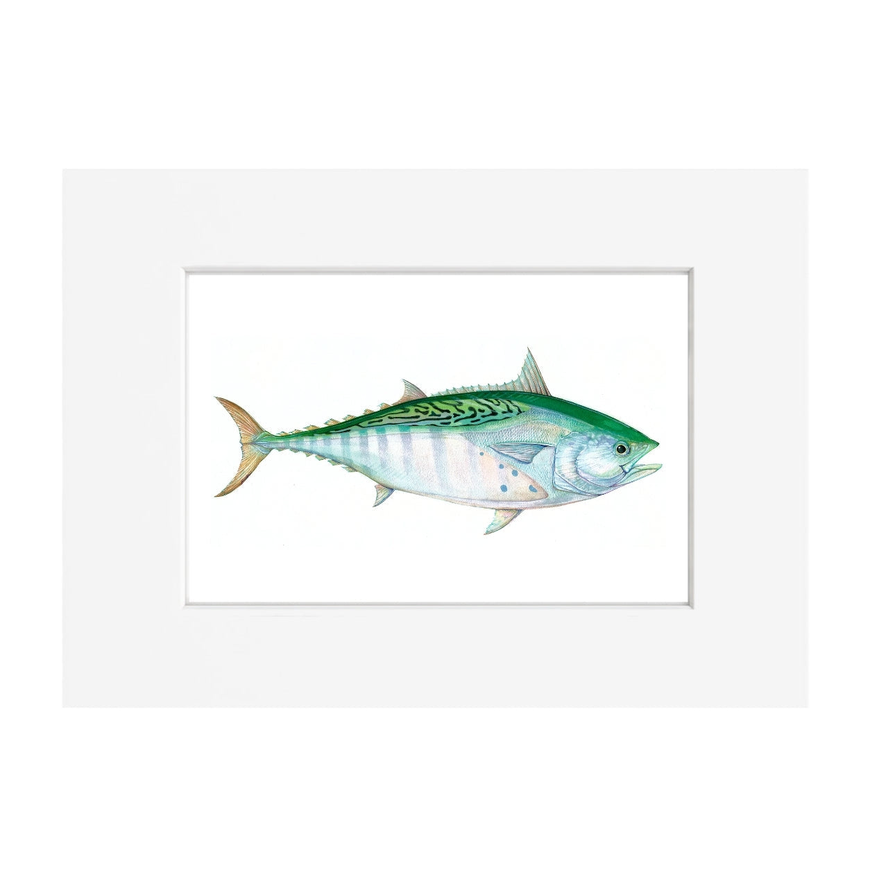 False Albie Giclee Print
