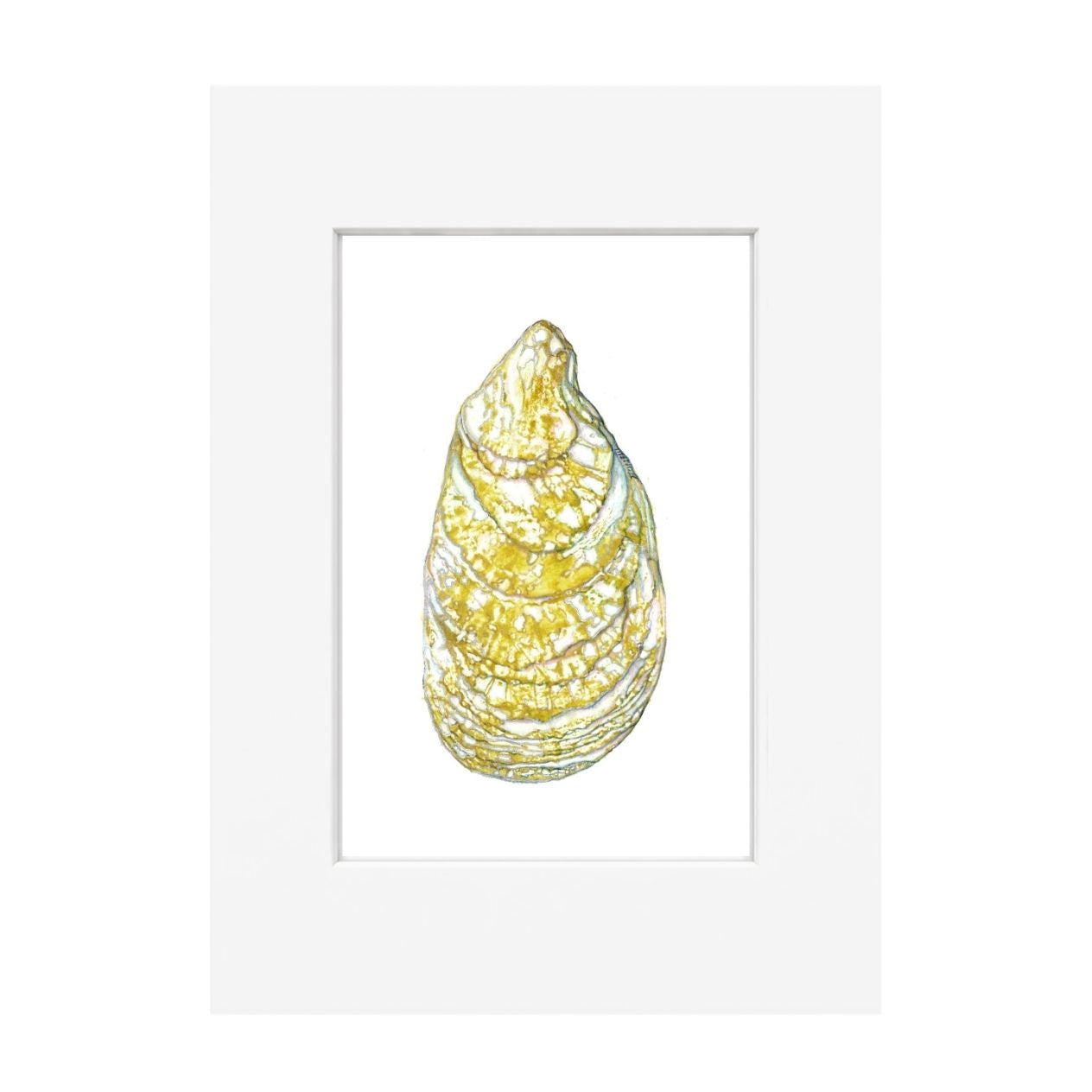 Oyster Giclee Print