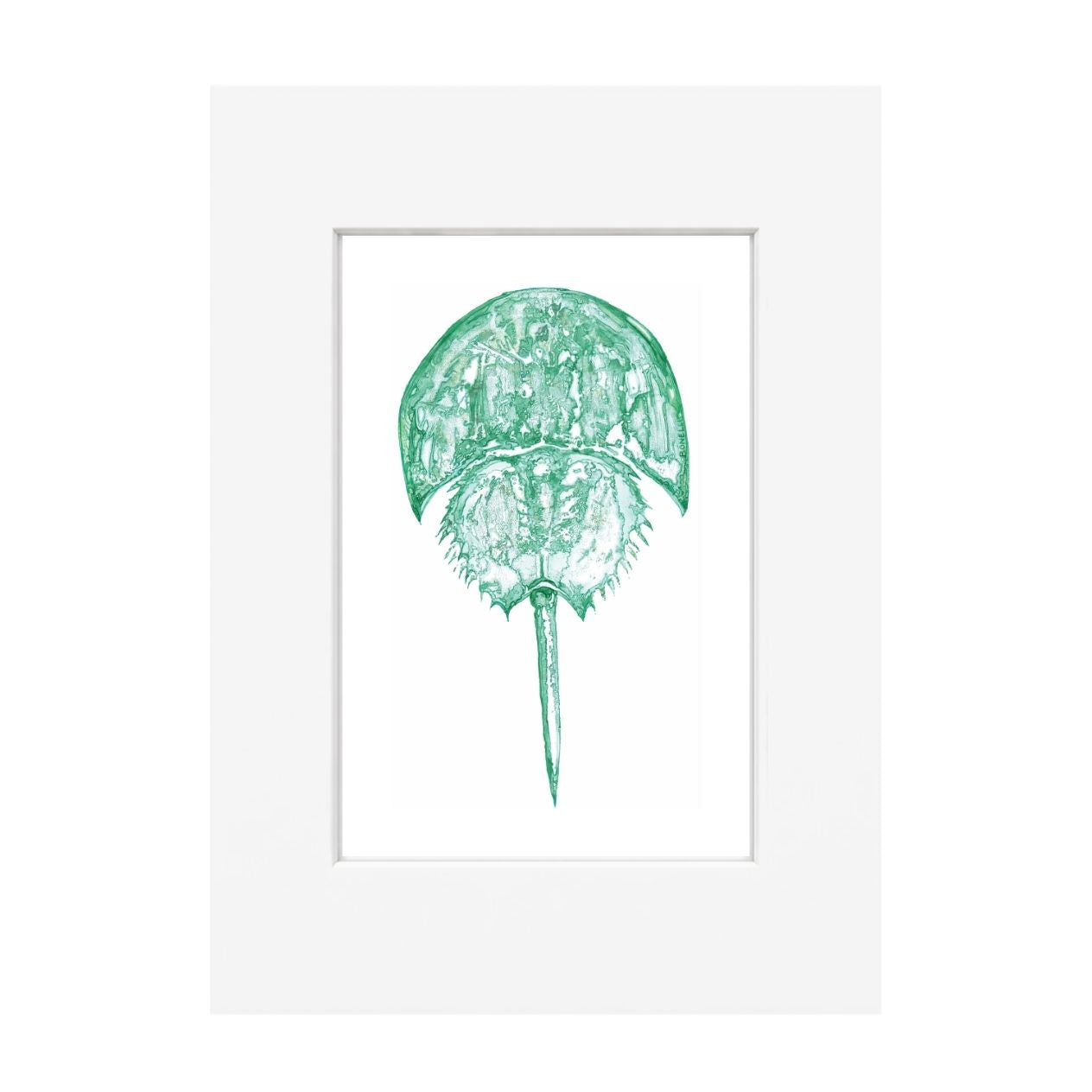 Horseshoe Crab Giclee Print