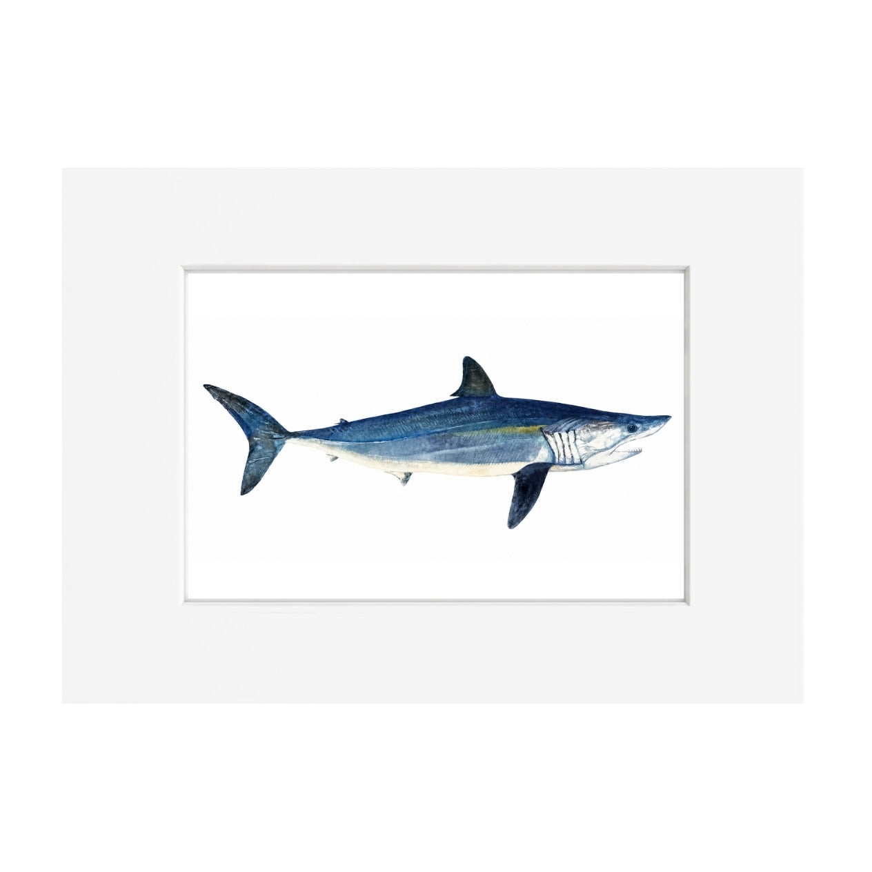 Mako Giclee Print