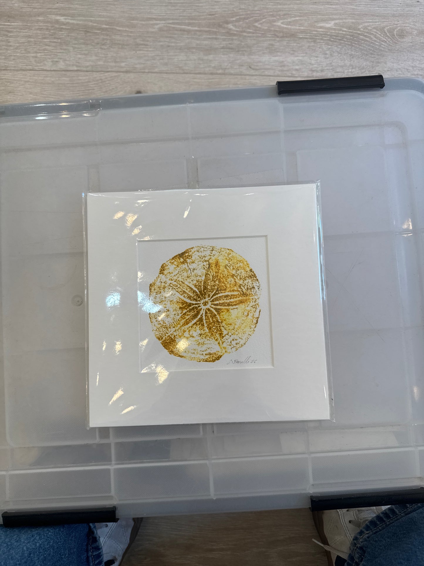 Shellfish Square Prints