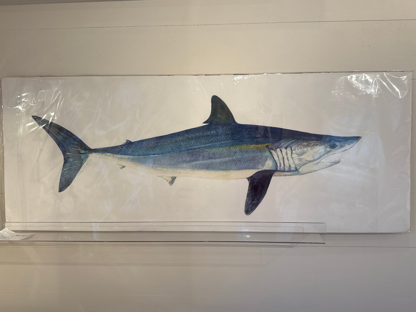 Mako Extra Large Print