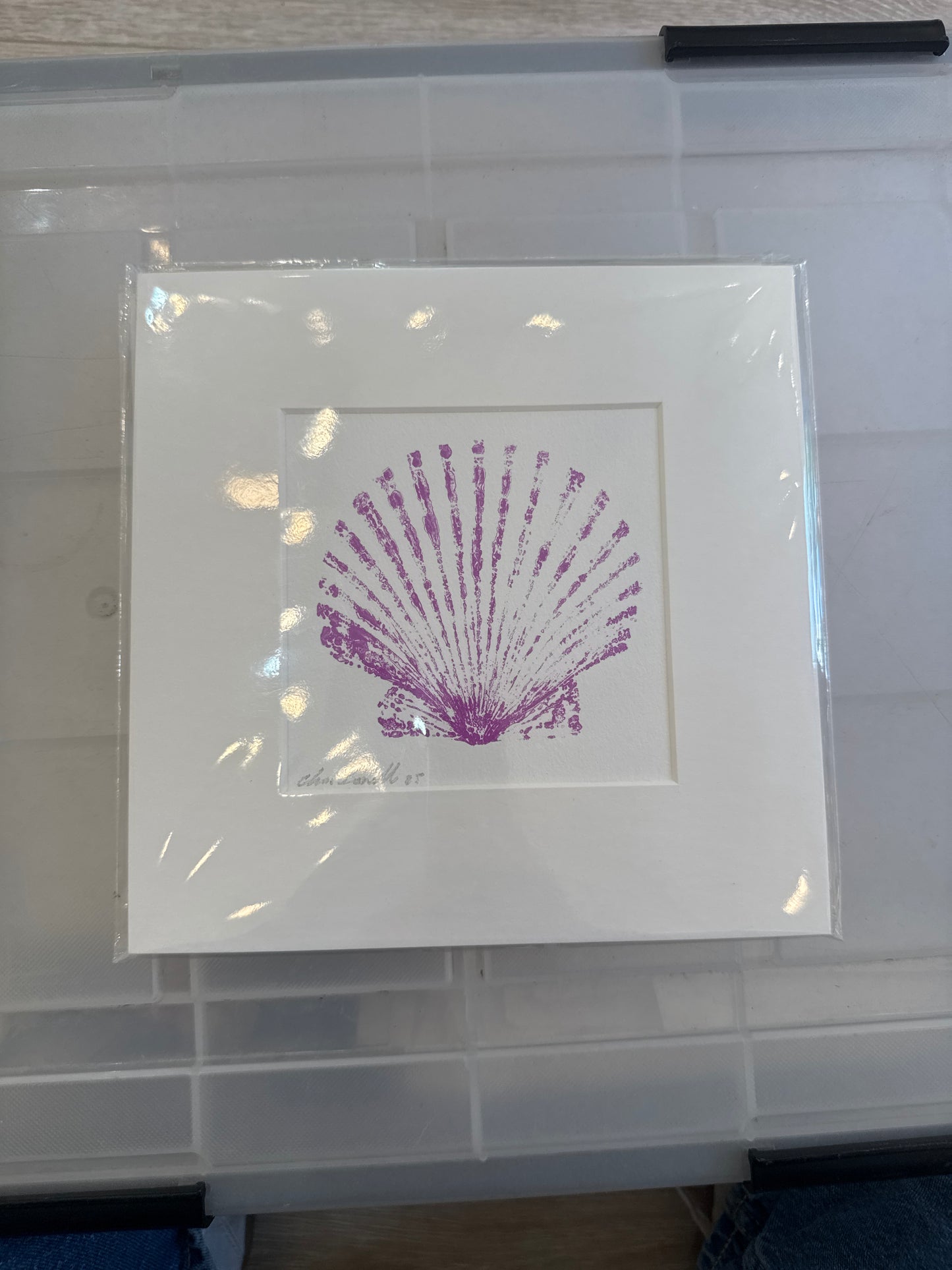 Shellfish Square Prints