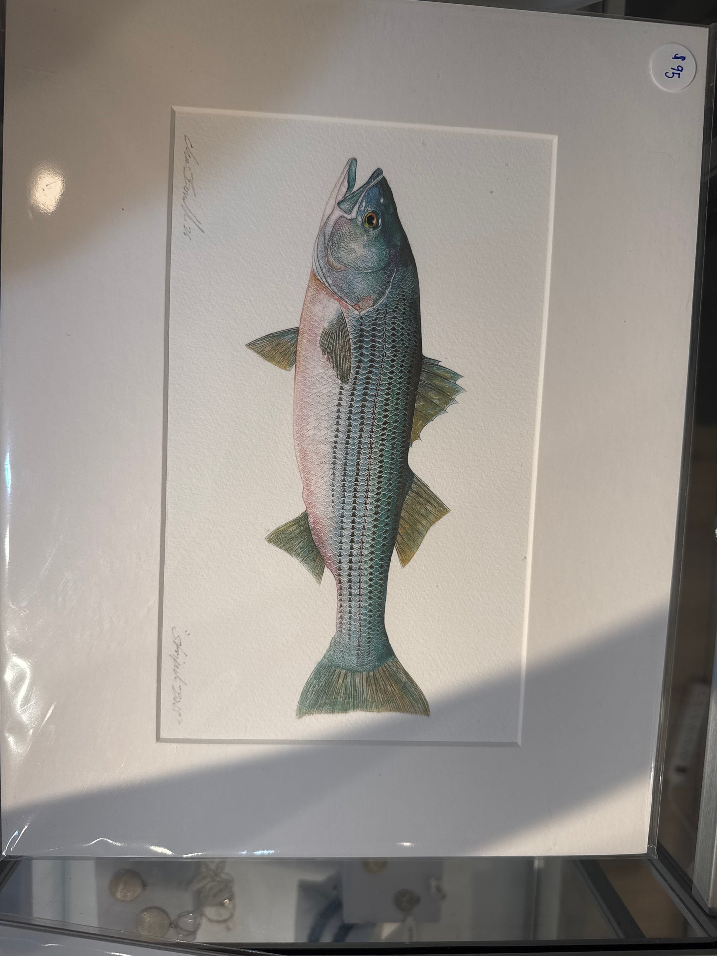 Ocean Life Small Prints
