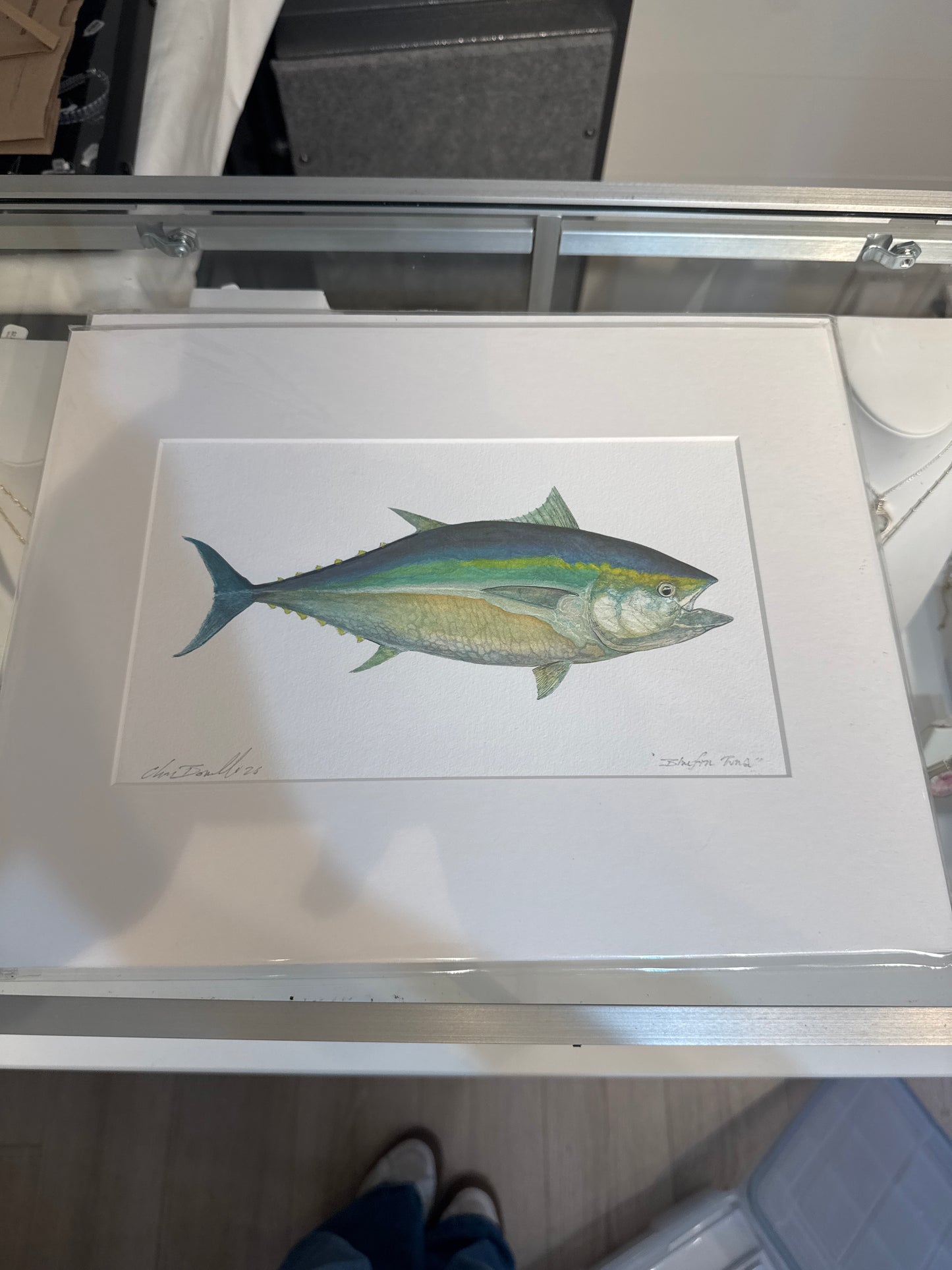 Ocean Life Small Prints