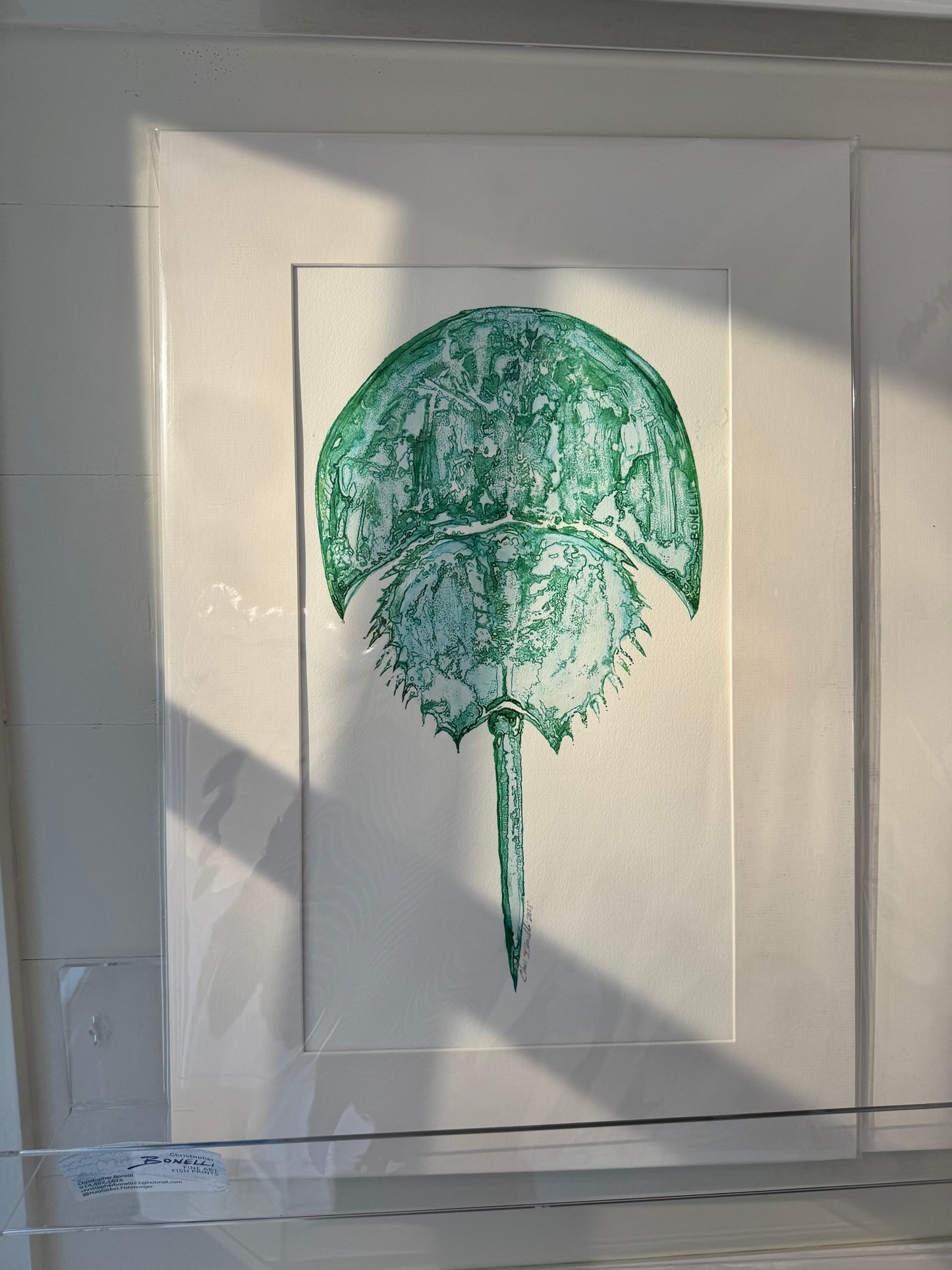 Ocean Life Medium Prints