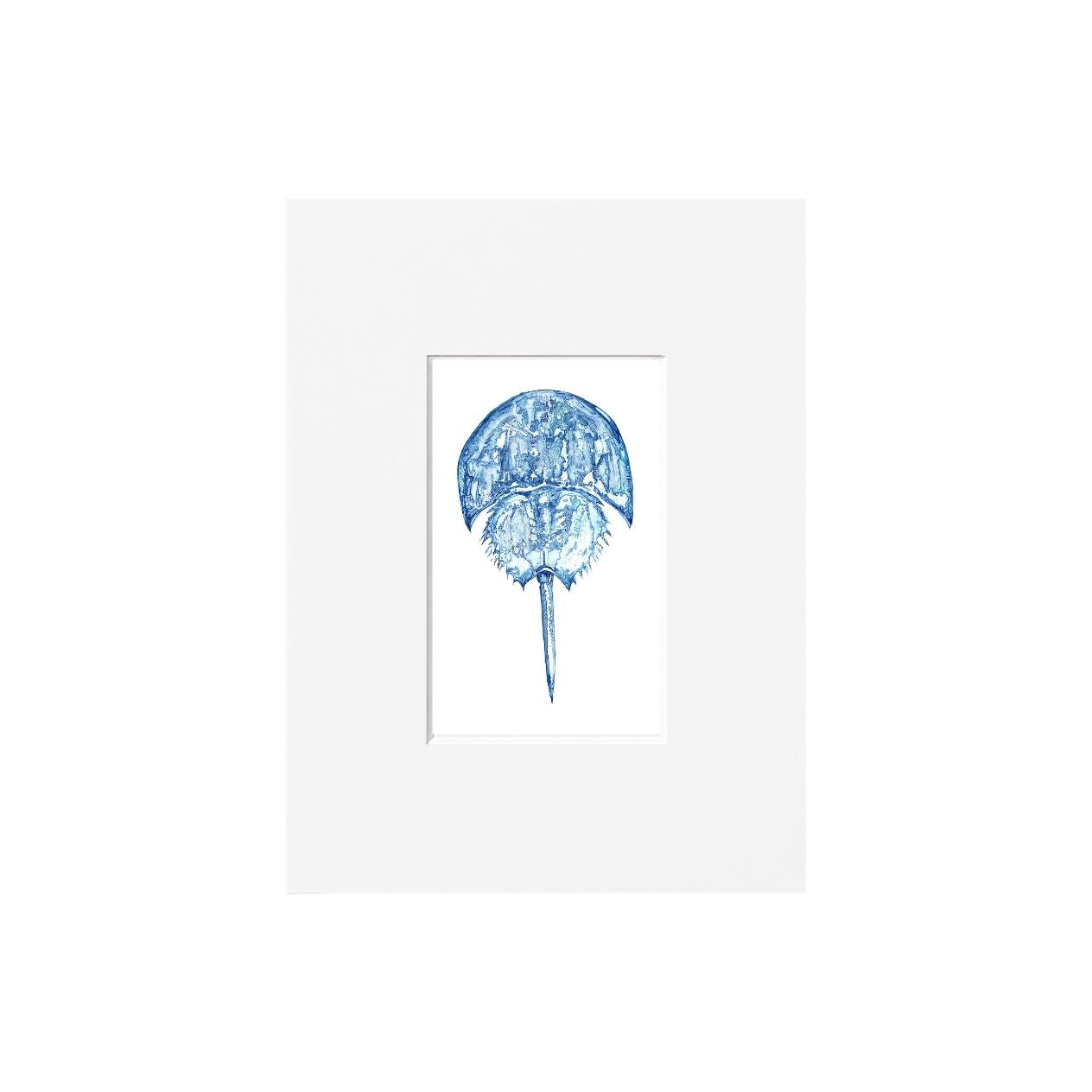 Horseshoe Crab Giclee Print