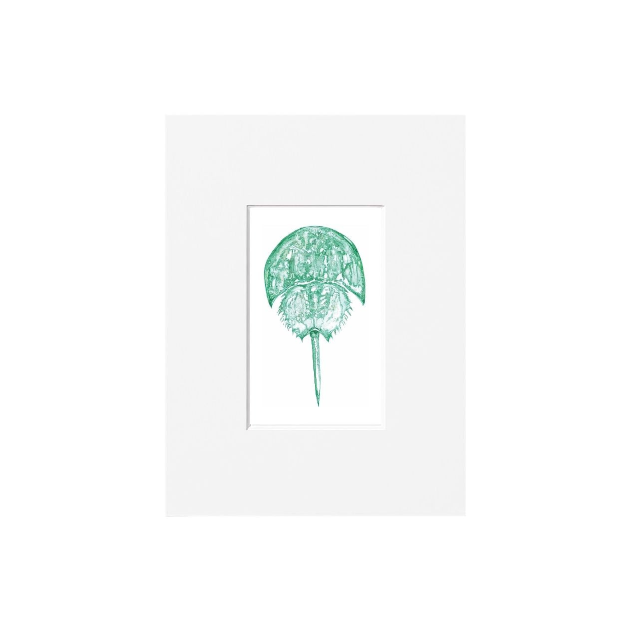 Horseshoe Crab Giclee Print