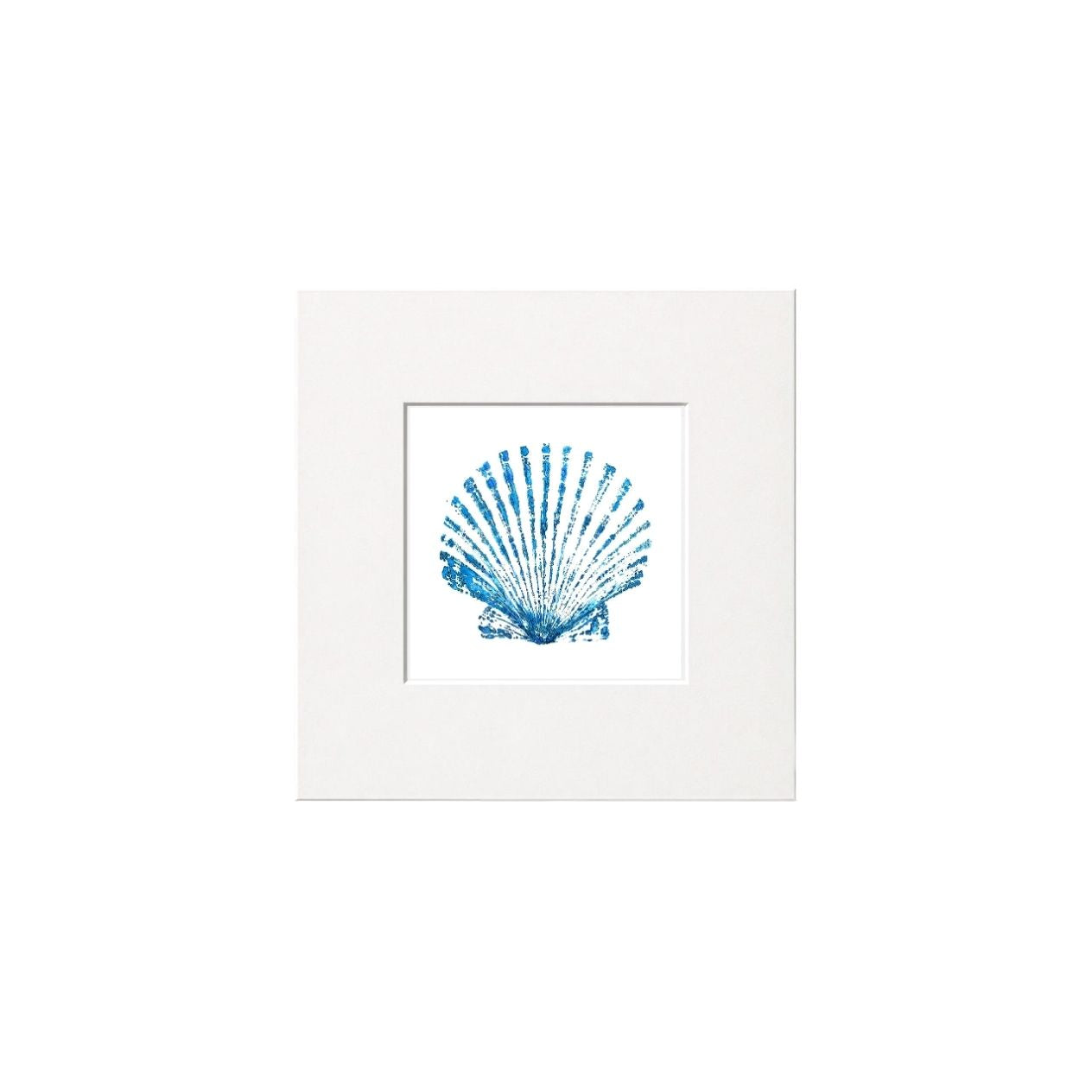 Scallop Giclee Print