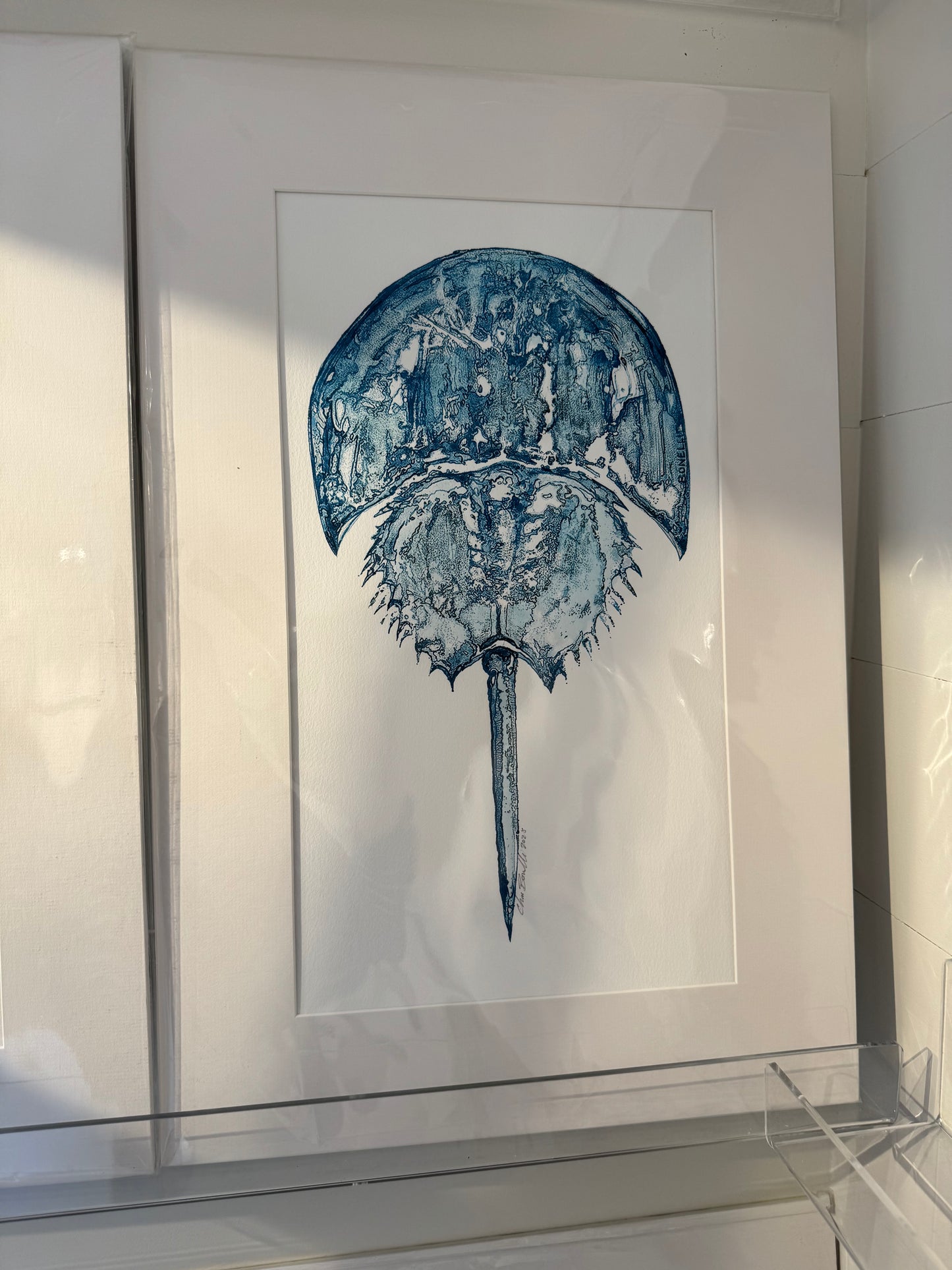 Ocean Life Medium Prints