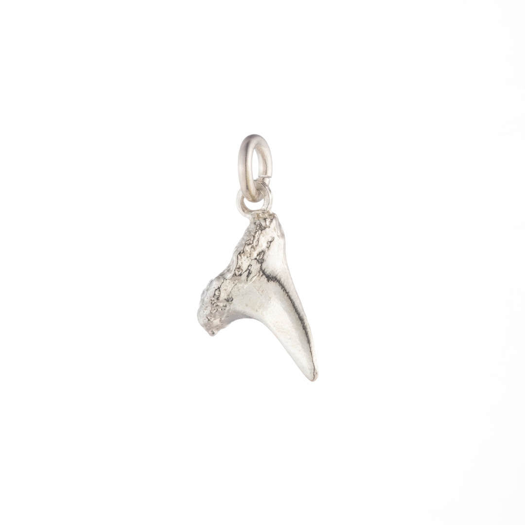 Shark Tooth Charm in Sterling