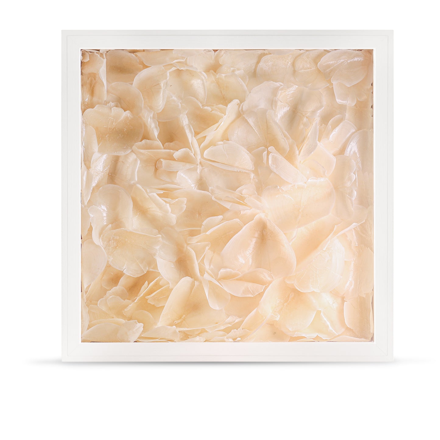 Ocean Veil Collector’s Wall Box