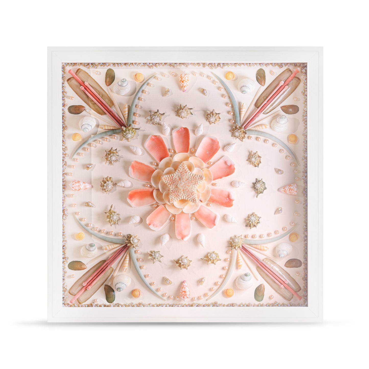 Star of the Sea Collector’s Wall Box