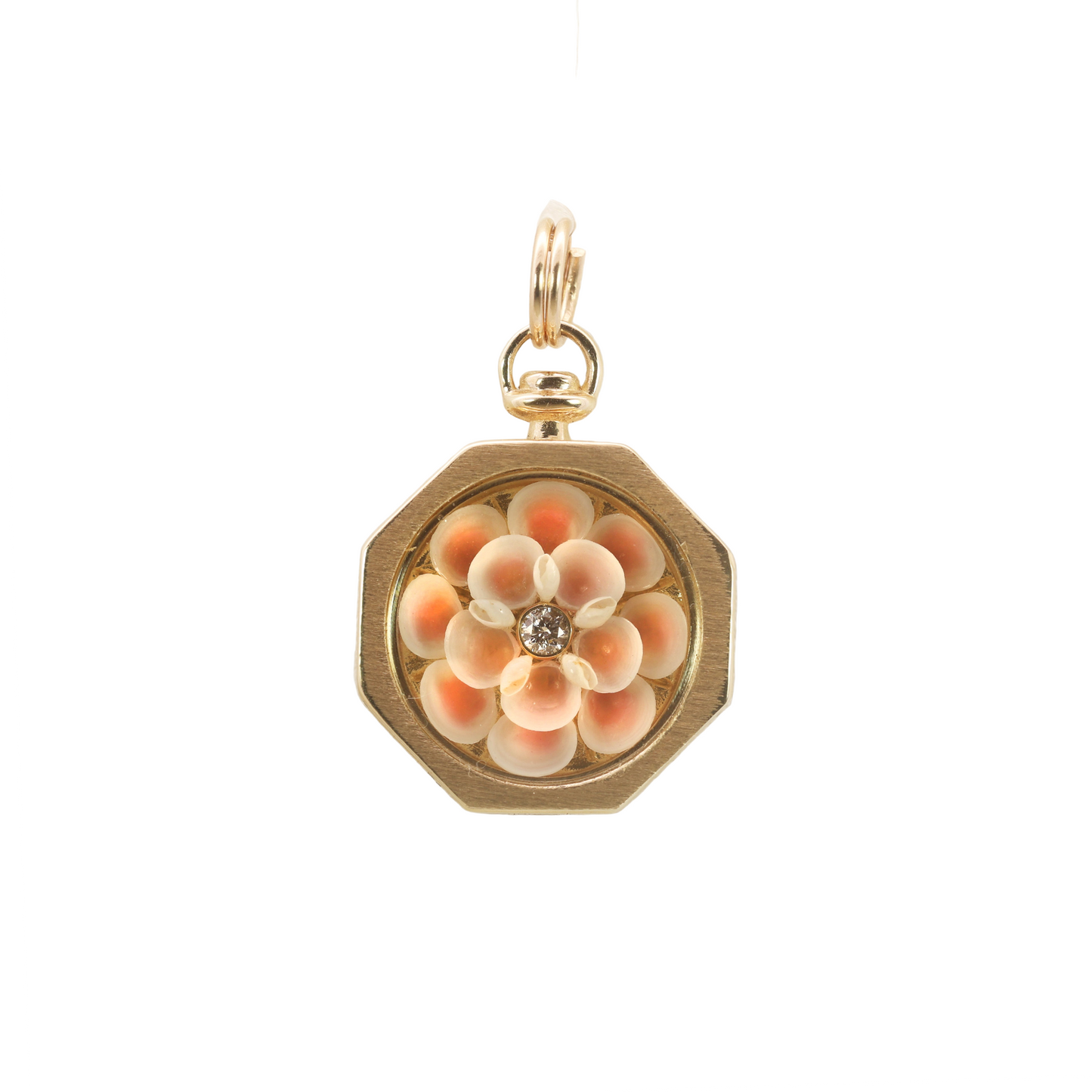 Blossoming Sailor's Valentine