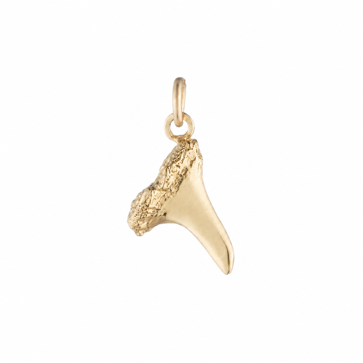 Shark Tooth Charm in Gold