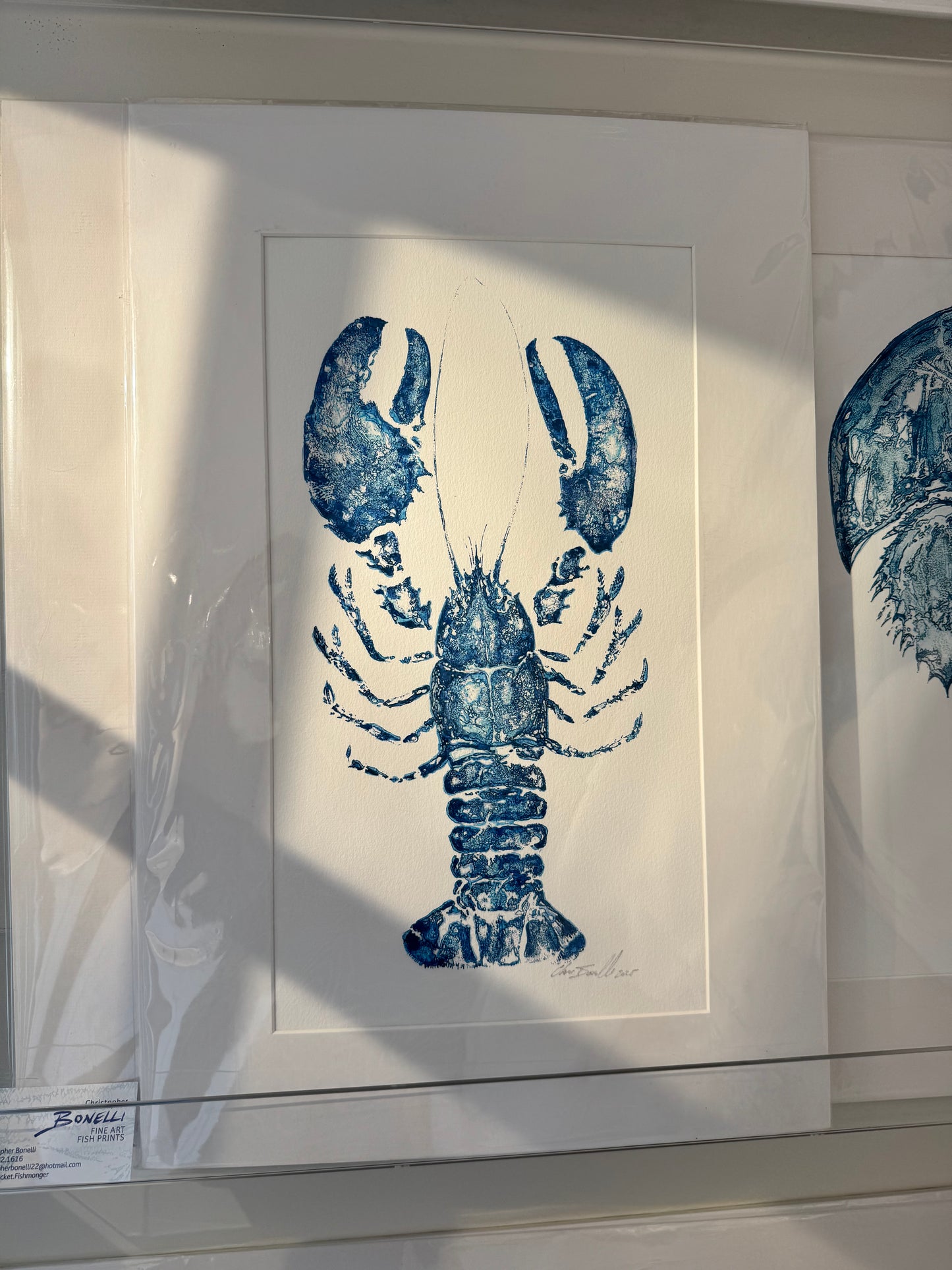 Ocean Life Medium Prints