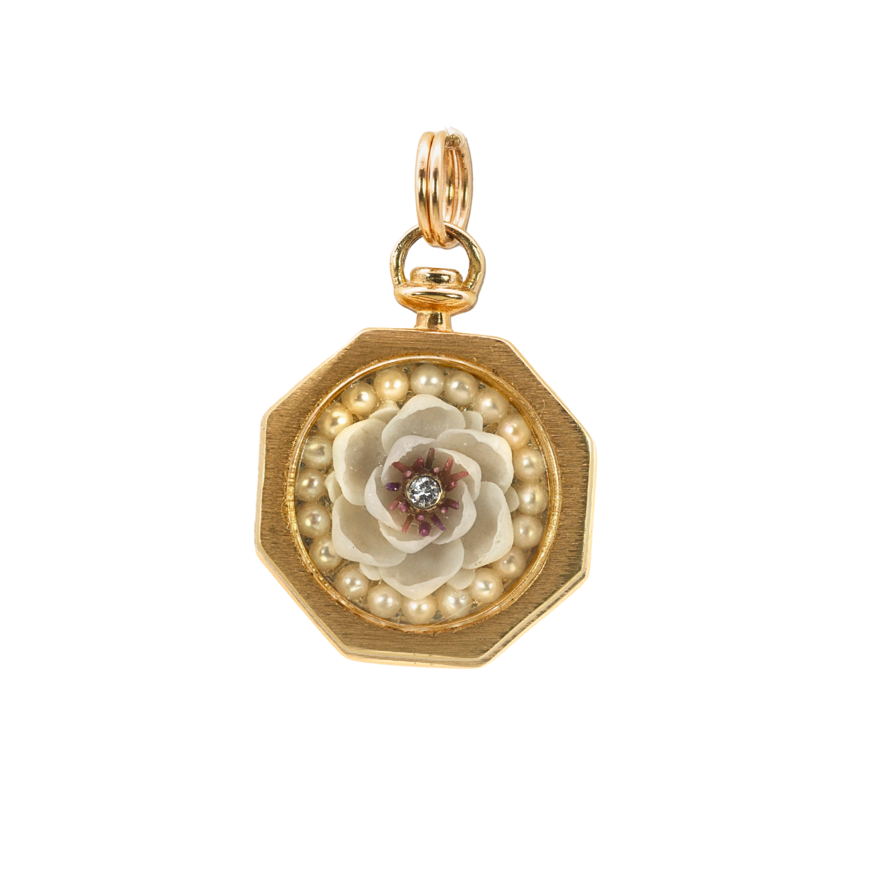 Flowering Sailor's Valentine