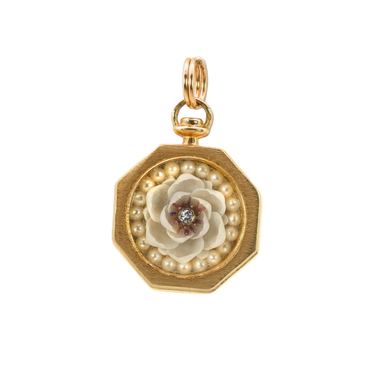 Flowering Sailor's Valentine