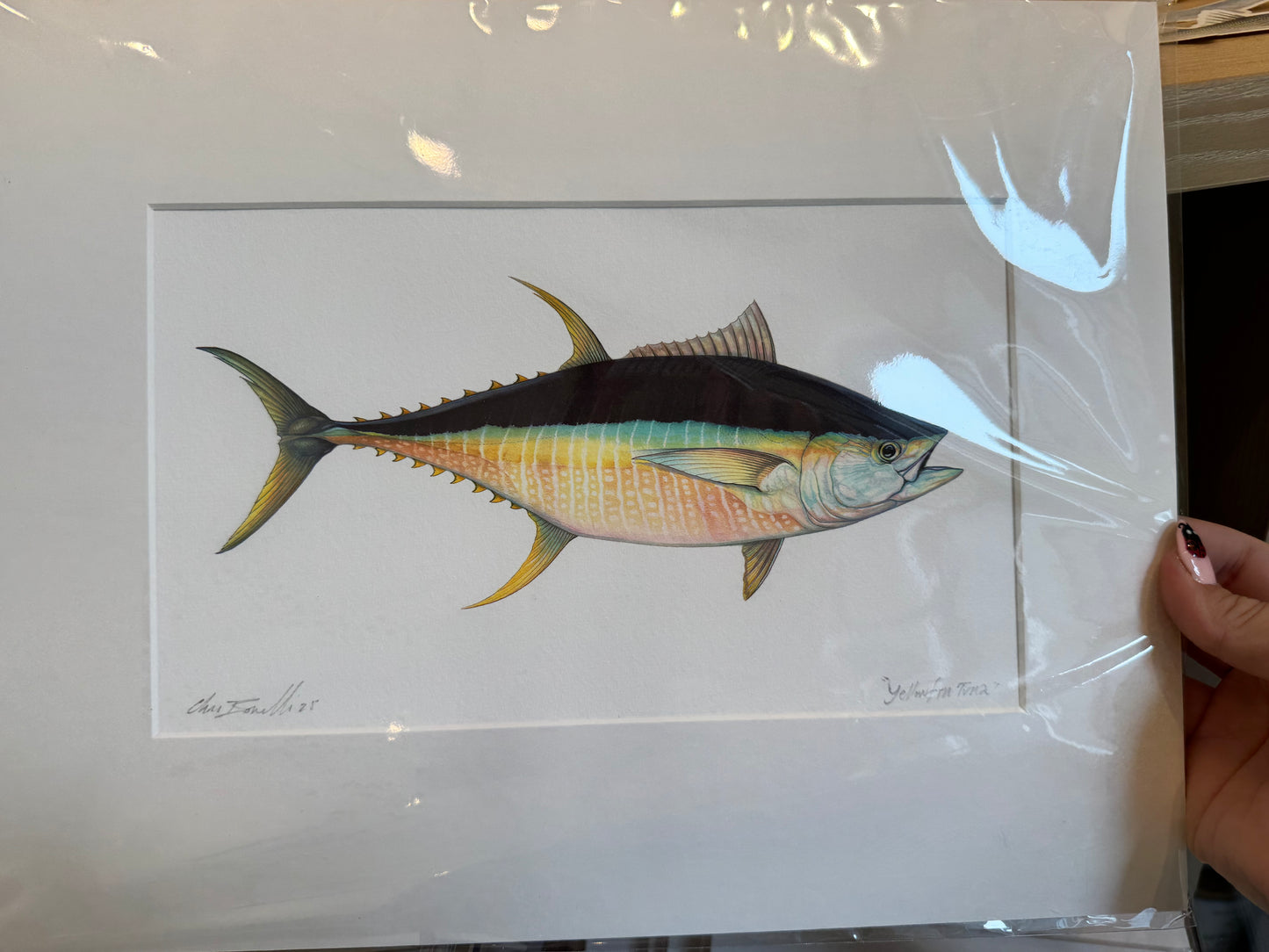 Ocean Life Small Prints