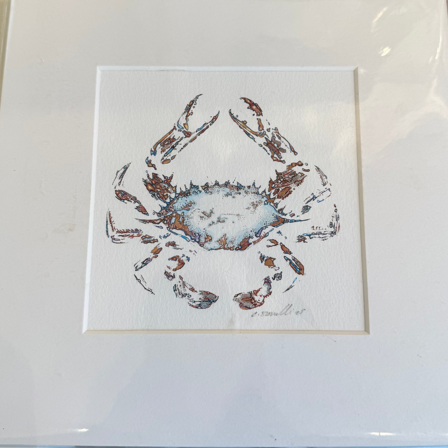 Shellfish Square Prints