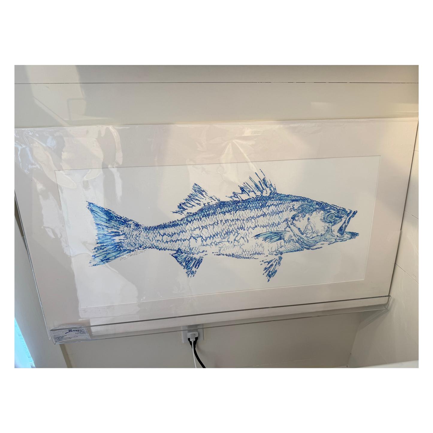 Blue fish illustration on a white background