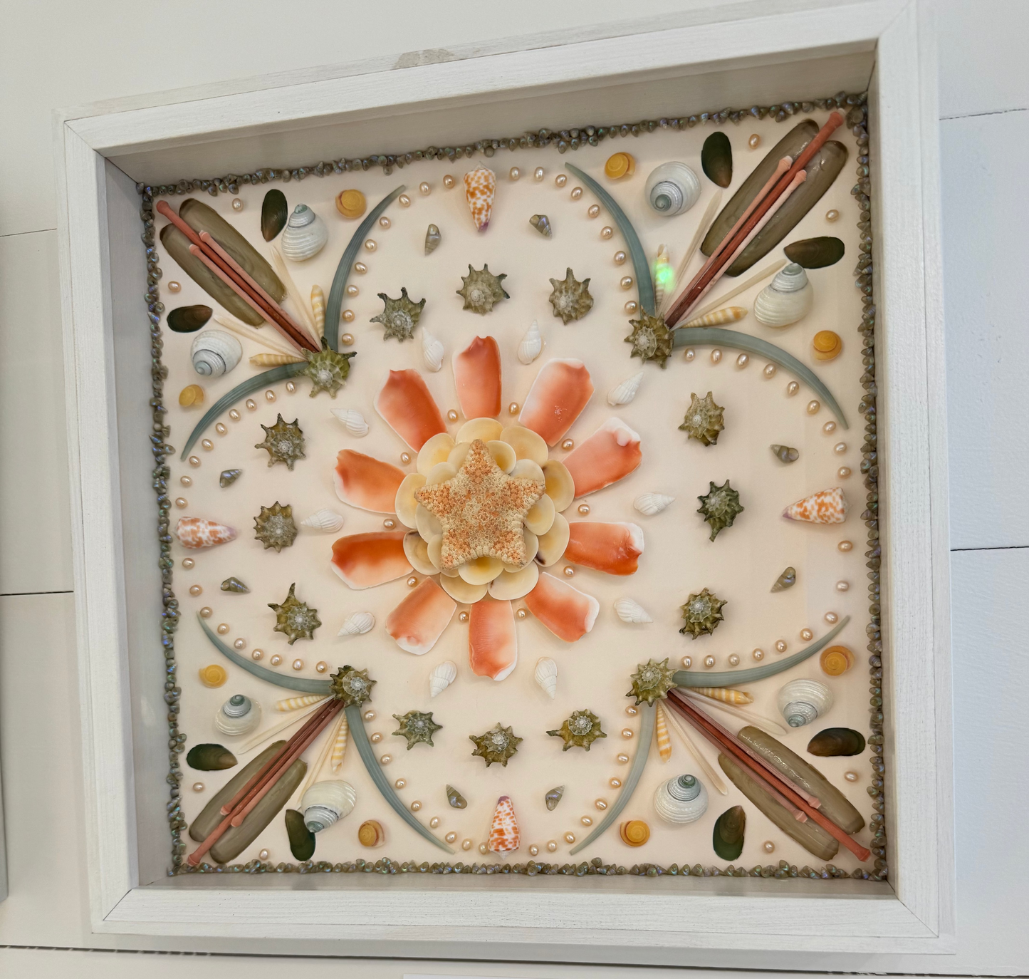 Star of the Sea Collector’s Wall Box