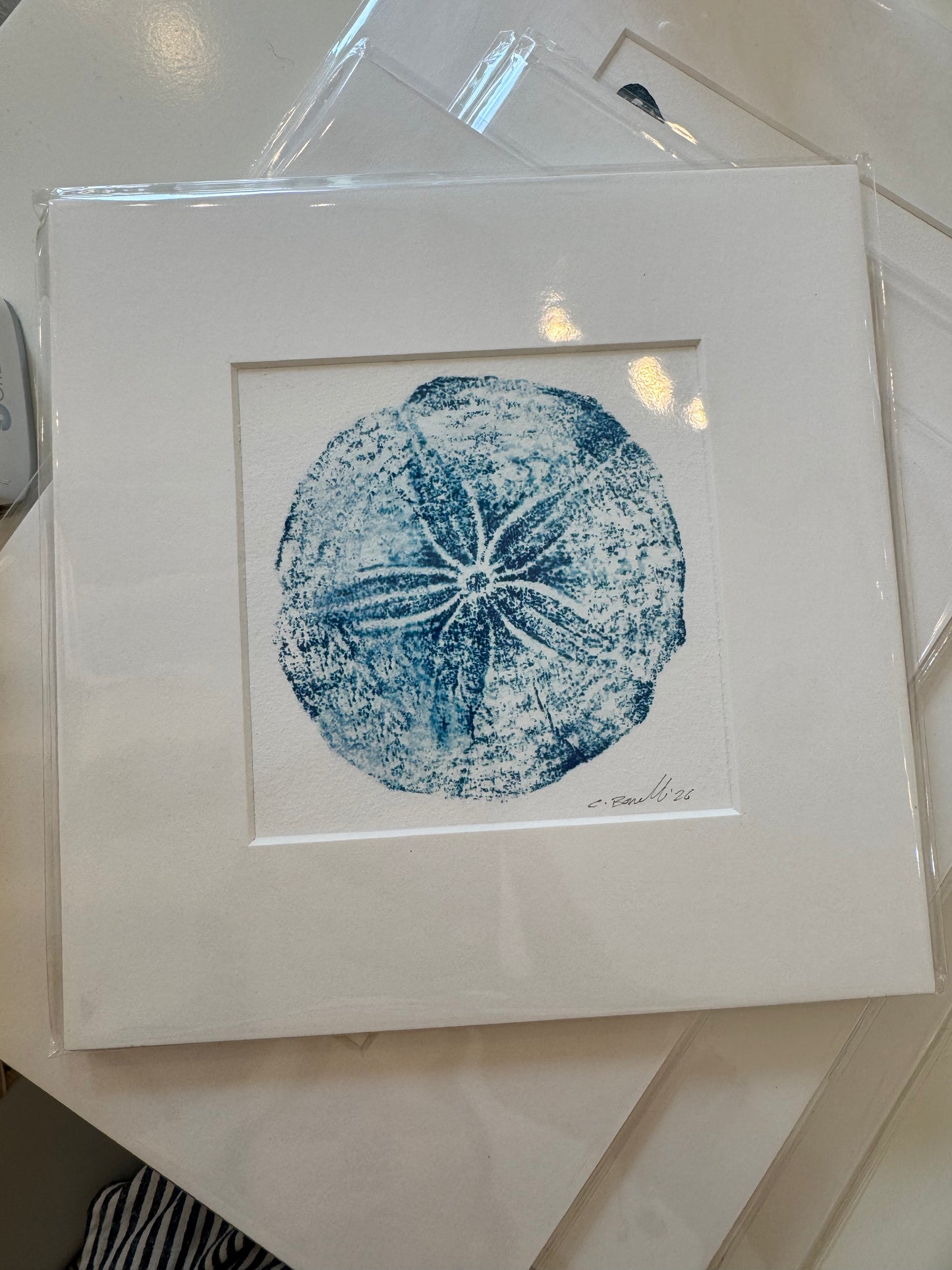 Shellfish Square Prints