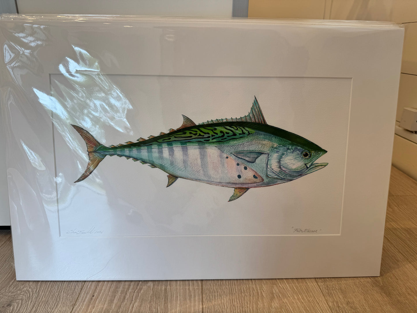 Ocean Life Medium Prints