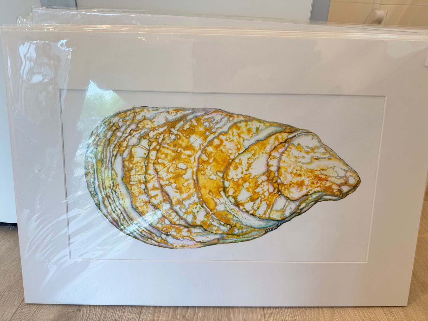 Ocean Life Medium Prints