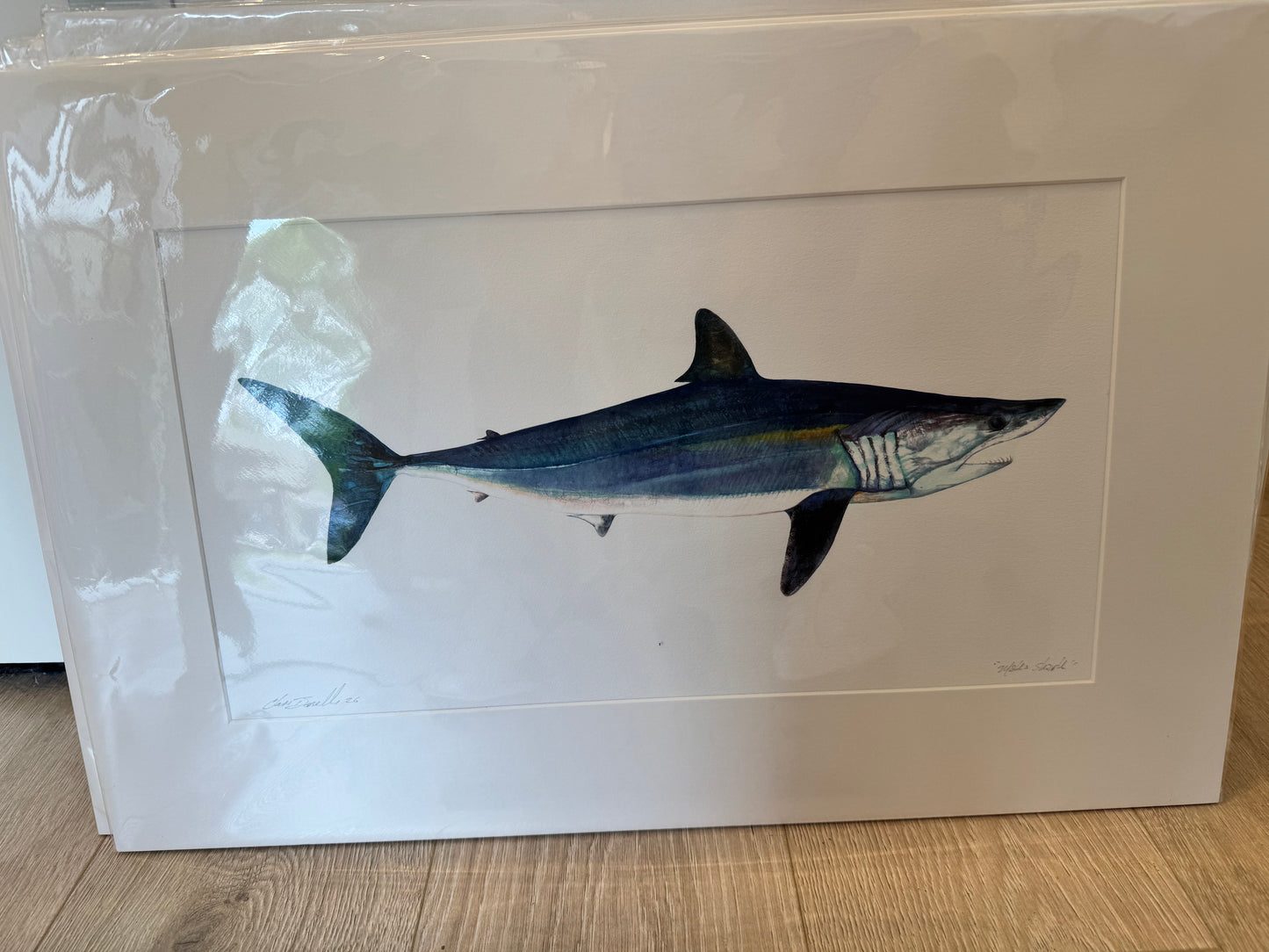 Ocean Life Medium Prints
