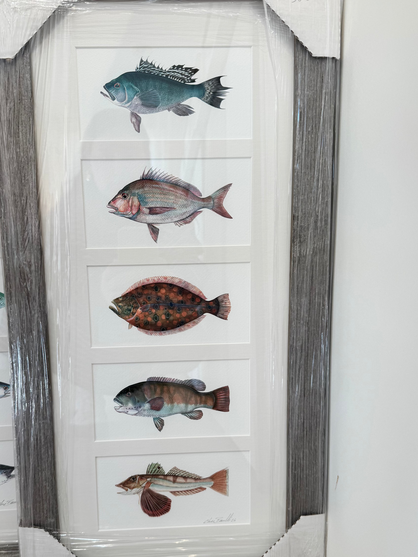 Driftwood Framed Print
