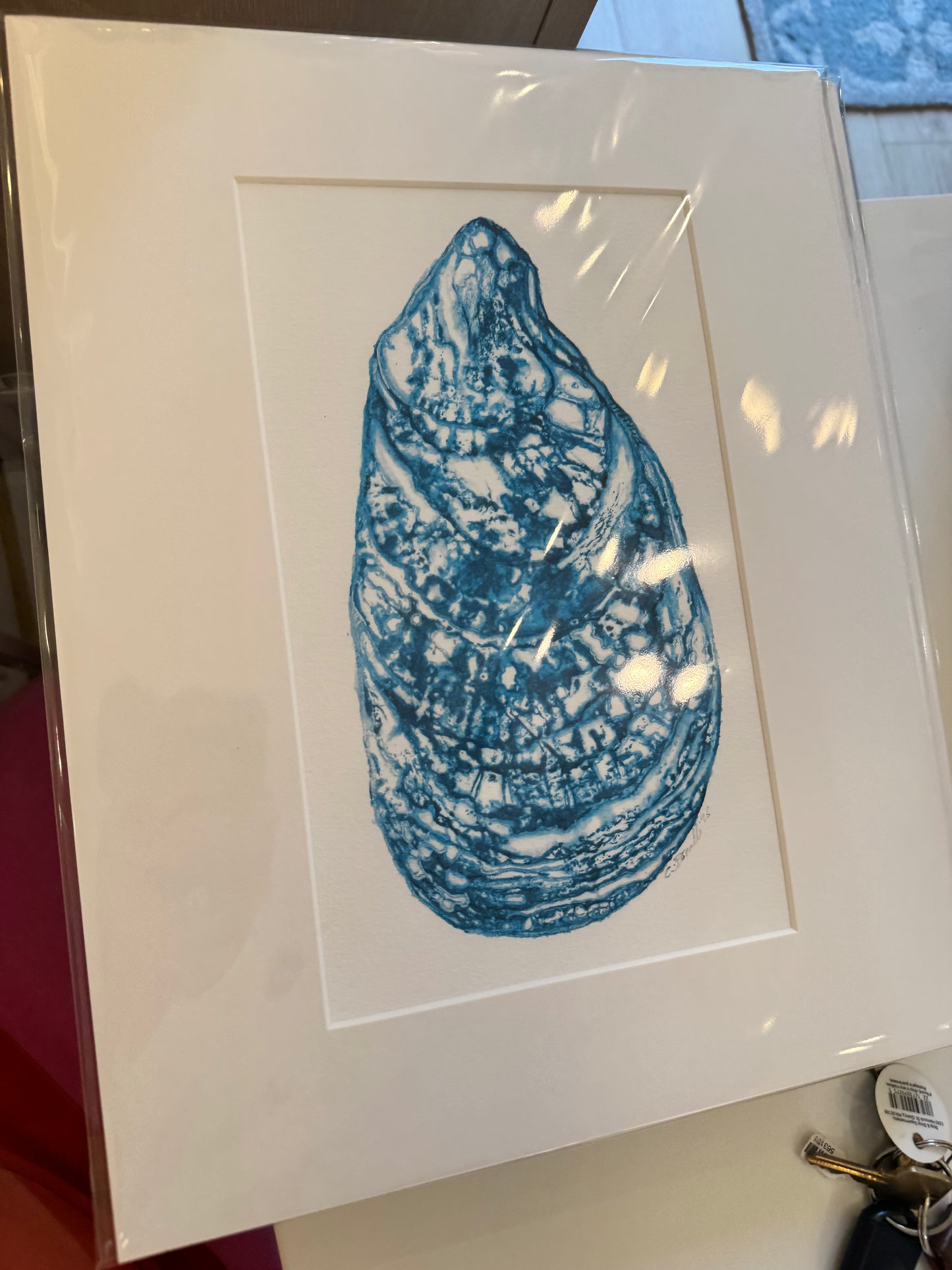 Ocean Life Small Prints