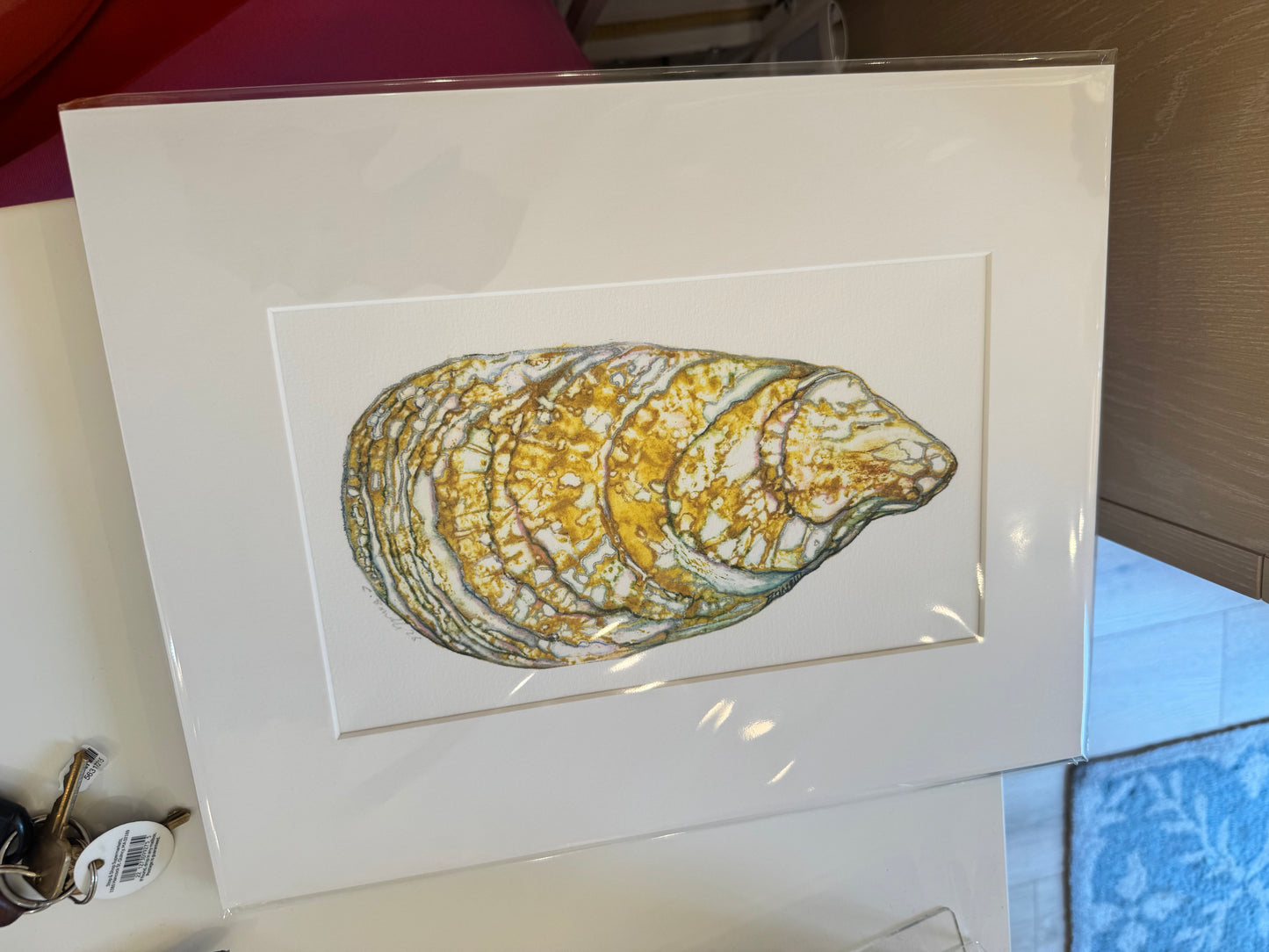 Ocean Life Small Prints