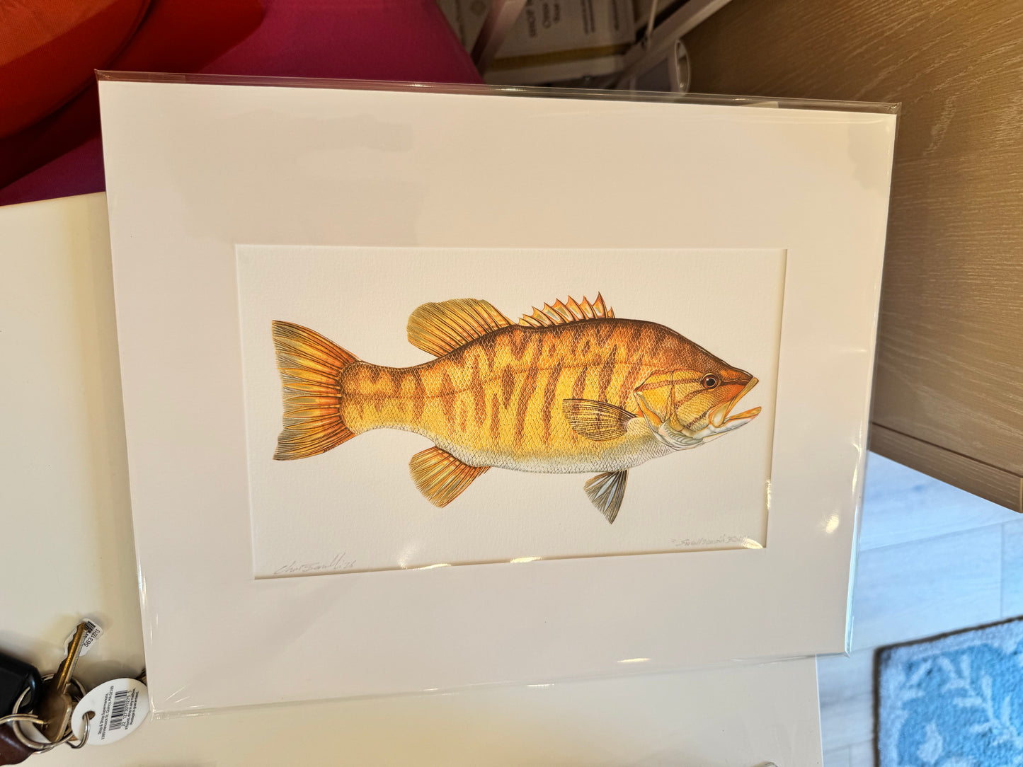 Ocean Life Small Prints