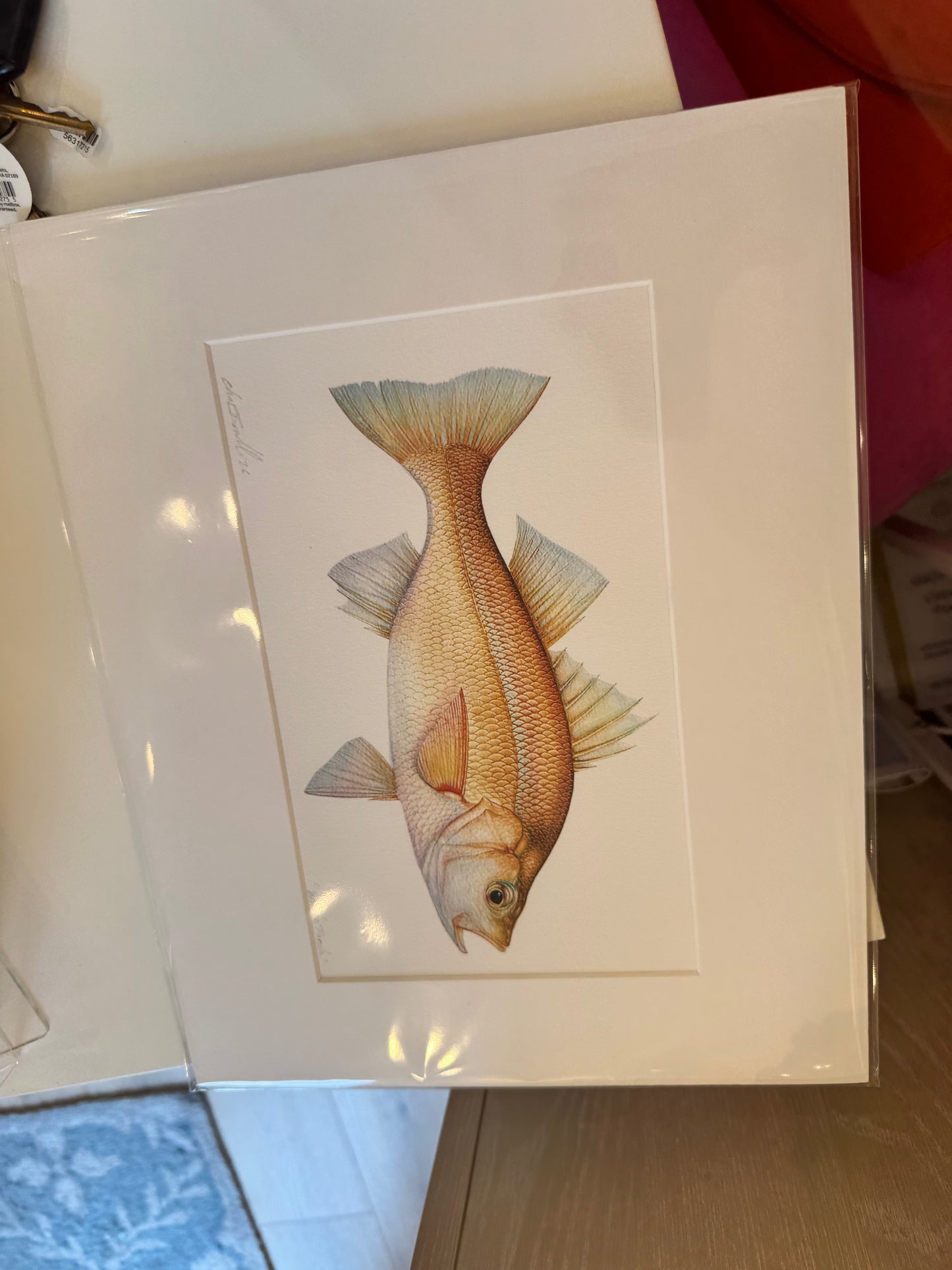 Ocean Life Small Prints