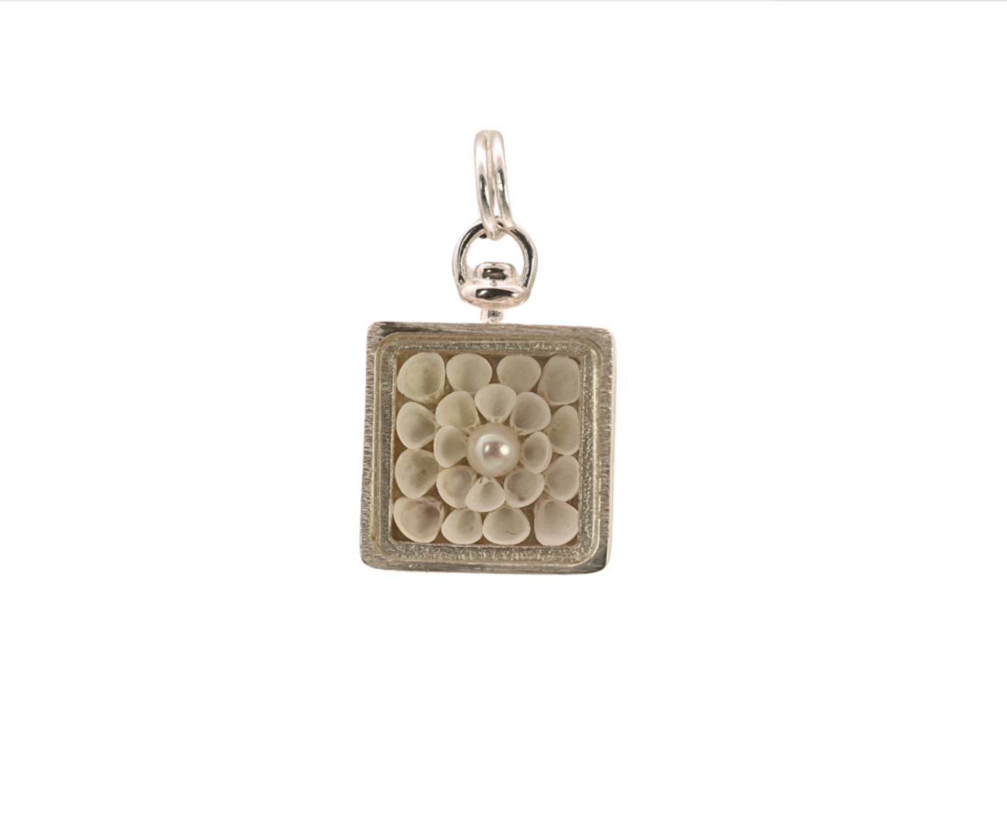 White Lilac Shell Collector's Box