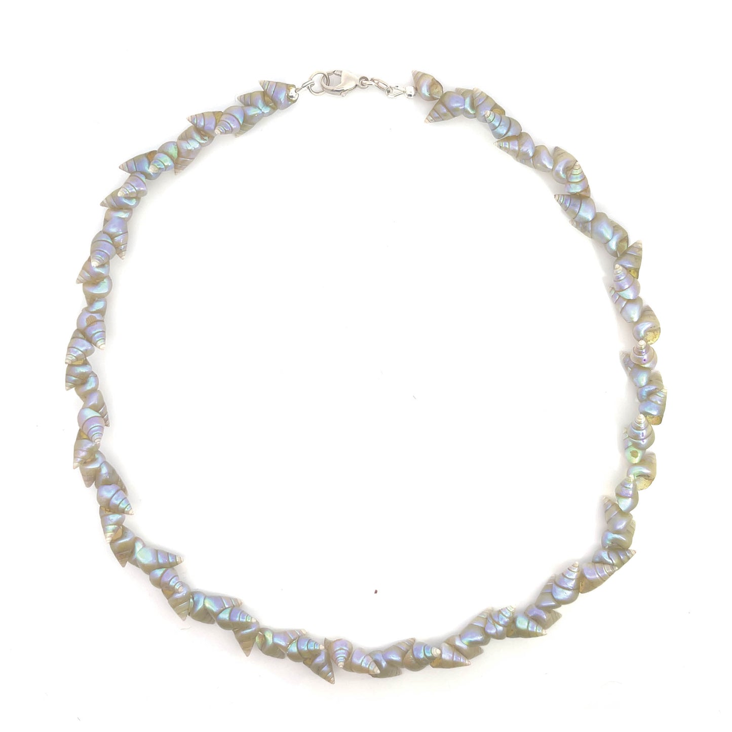 Shell Necklace in Sterling
